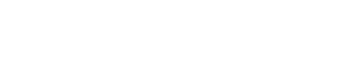 TeamLead IT